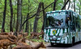 Perencanaan Wisata Liburan ke Daerah Pegunungan Dan Info Penginapan Terdekat