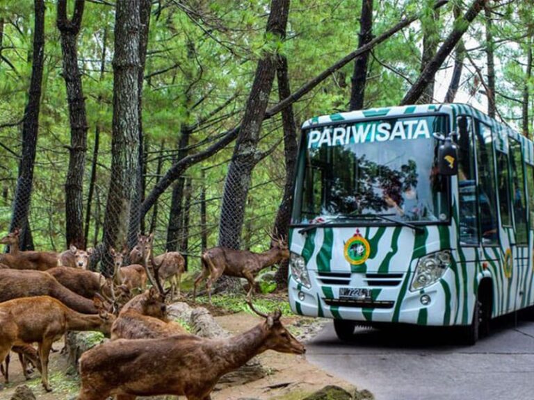 Read more about the article Perencanaan Wisata Liburan ke Daerah Pegunungan Dan Info Penginapan Terdekat