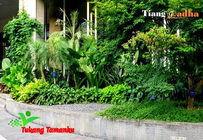 Read more about the article Taman Ramah Lingkungan: Layanan Tukang Taman di Bintaro